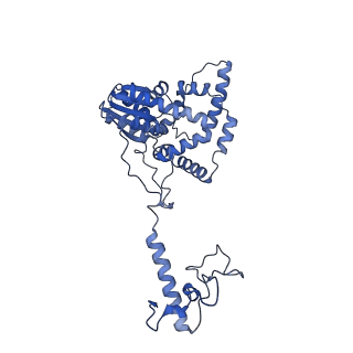 16184_8bqs_DQ_v1-0
Cryo-EM structure of the I-II-III2-IV2 respiratory supercomplex from Tetrahymena thermophila