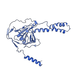 16184_8bqs_DR_v1-0
Cryo-EM structure of the I-II-III2-IV2 respiratory supercomplex from Tetrahymena thermophila