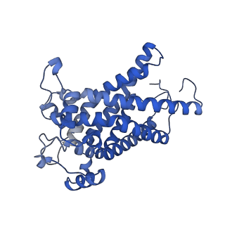 16184_8bqs_DV_v1-0
Cryo-EM structure of the I-II-III2-IV2 respiratory supercomplex from Tetrahymena thermophila