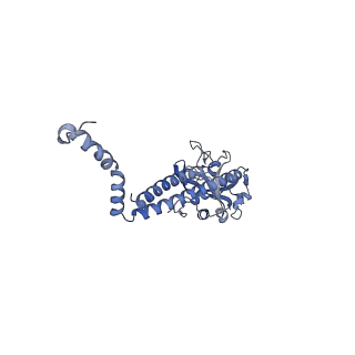 16184_8bqs_DW_v1-0
Cryo-EM structure of the I-II-III2-IV2 respiratory supercomplex from Tetrahymena thermophila