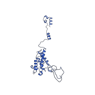 16184_8bqs_DZ_v1-0
Cryo-EM structure of the I-II-III2-IV2 respiratory supercomplex from Tetrahymena thermophila