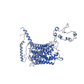 16184_8bqs_Da_v1-0
Cryo-EM structure of the I-II-III2-IV2 respiratory supercomplex from Tetrahymena thermophila