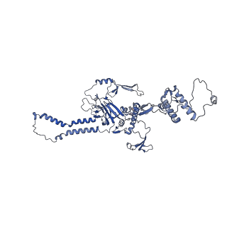 16184_8bqs_Db_v1-0
Cryo-EM structure of the I-II-III2-IV2 respiratory supercomplex from Tetrahymena thermophila