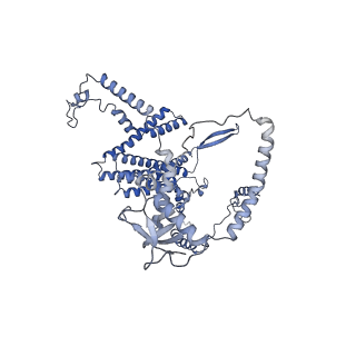 16184_8bqs_Dc_v1-0
Cryo-EM structure of the I-II-III2-IV2 respiratory supercomplex from Tetrahymena thermophila