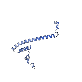 16184_8bqs_De_v1-0
Cryo-EM structure of the I-II-III2-IV2 respiratory supercomplex from Tetrahymena thermophila