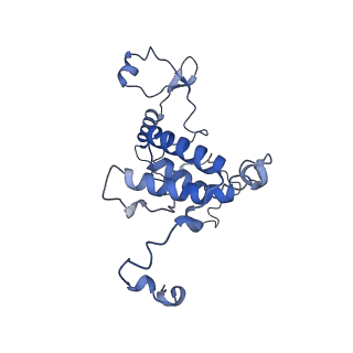 16184_8bqs_Df_v1-0
Cryo-EM structure of the I-II-III2-IV2 respiratory supercomplex from Tetrahymena thermophila