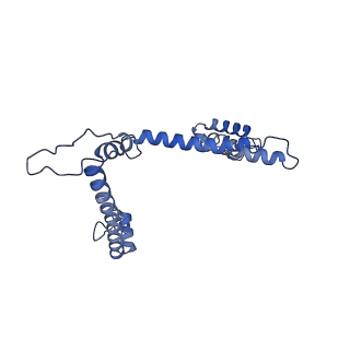 16184_8bqs_Dj_v1-0
Cryo-EM structure of the I-II-III2-IV2 respiratory supercomplex from Tetrahymena thermophila