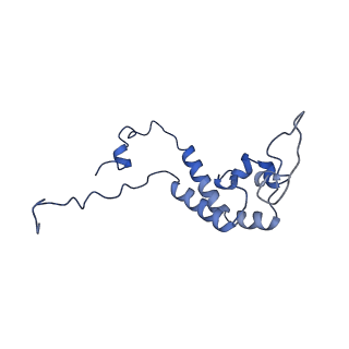 16184_8bqs_Dk_v1-0
Cryo-EM structure of the I-II-III2-IV2 respiratory supercomplex from Tetrahymena thermophila