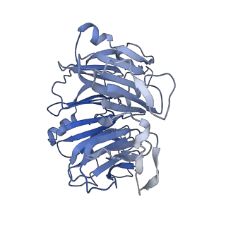 16184_8bqs_Dl_v1-0
Cryo-EM structure of the I-II-III2-IV2 respiratory supercomplex from Tetrahymena thermophila