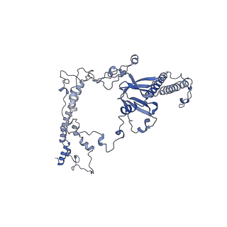 16184_8bqs_Dm_v1-0
Cryo-EM structure of the I-II-III2-IV2 respiratory supercomplex from Tetrahymena thermophila