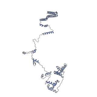 16184_8bqs_Dn_v1-0
Cryo-EM structure of the I-II-III2-IV2 respiratory supercomplex from Tetrahymena thermophila
