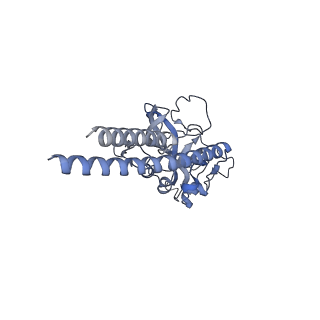 16184_8bqs_Dp_v1-0
Cryo-EM structure of the I-II-III2-IV2 respiratory supercomplex from Tetrahymena thermophila