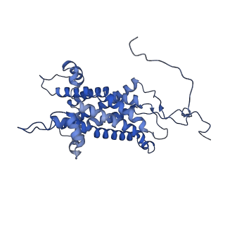 16184_8bqs_Ds_v1-0
Cryo-EM structure of the I-II-III2-IV2 respiratory supercomplex from Tetrahymena thermophila