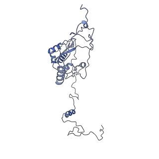 16184_8bqs_Dt_v1-0
Cryo-EM structure of the I-II-III2-IV2 respiratory supercomplex from Tetrahymena thermophila