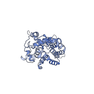 16184_8bqs_Du_v1-0
Cryo-EM structure of the I-II-III2-IV2 respiratory supercomplex from Tetrahymena thermophila