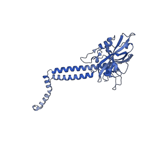 16184_8bqs_Dw_v1-0
Cryo-EM structure of the I-II-III2-IV2 respiratory supercomplex from Tetrahymena thermophila