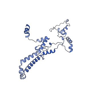 16184_8bqs_Dx_v1-0
Cryo-EM structure of the I-II-III2-IV2 respiratory supercomplex from Tetrahymena thermophila