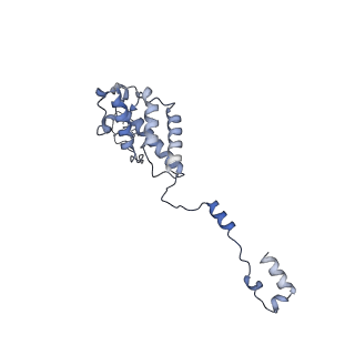 16184_8bqs_Dz_v1-0
Cryo-EM structure of the I-II-III2-IV2 respiratory supercomplex from Tetrahymena thermophila