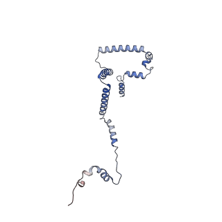 16184_8bqs_ED_v1-0
Cryo-EM structure of the I-II-III2-IV2 respiratory supercomplex from Tetrahymena thermophila