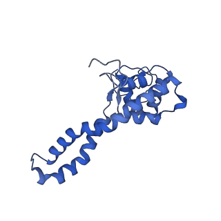 16184_8bqs_EH_v1-0
Cryo-EM structure of the I-II-III2-IV2 respiratory supercomplex from Tetrahymena thermophila