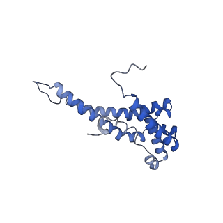 16184_8bqs_EI_v1-0
Cryo-EM structure of the I-II-III2-IV2 respiratory supercomplex from Tetrahymena thermophila