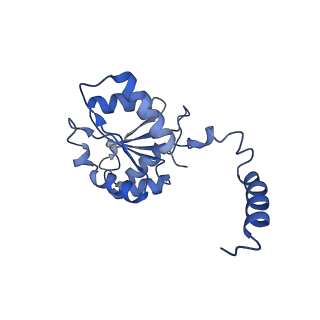 16184_8bqs_EJ_v1-0
Cryo-EM structure of the I-II-III2-IV2 respiratory supercomplex from Tetrahymena thermophila