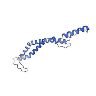 16184_8bqs_EL_v1-0
Cryo-EM structure of the I-II-III2-IV2 respiratory supercomplex from Tetrahymena thermophila