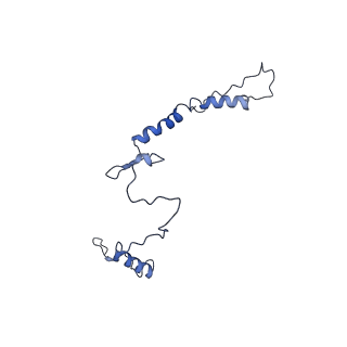 16184_8bqs_EN_v1-0
Cryo-EM structure of the I-II-III2-IV2 respiratory supercomplex from Tetrahymena thermophila