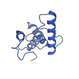 16184_8bqs_ER_v1-0
Cryo-EM structure of the I-II-III2-IV2 respiratory supercomplex from Tetrahymena thermophila