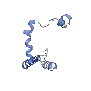 16184_8bqs_EU_v1-0
Cryo-EM structure of the I-II-III2-IV2 respiratory supercomplex from Tetrahymena thermophila