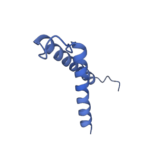 16184_8bqs_EX_v1-0
Cryo-EM structure of the I-II-III2-IV2 respiratory supercomplex from Tetrahymena thermophila