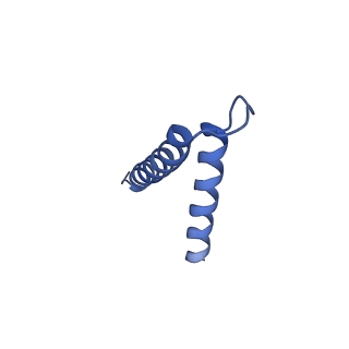 16184_8bqs_EZ_v1-0
Cryo-EM structure of the I-II-III2-IV2 respiratory supercomplex from Tetrahymena thermophila