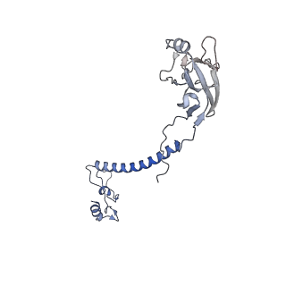 16184_8bqs_E_v1-0
Cryo-EM structure of the I-II-III2-IV2 respiratory supercomplex from Tetrahymena thermophila