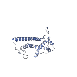 16184_8bqs_Ea_v1-0
Cryo-EM structure of the I-II-III2-IV2 respiratory supercomplex from Tetrahymena thermophila