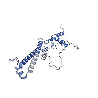 16184_8bqs_Eb_v1-0
Cryo-EM structure of the I-II-III2-IV2 respiratory supercomplex from Tetrahymena thermophila