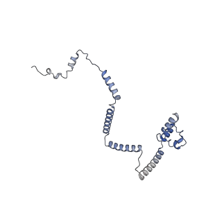 16184_8bqs_Ed_v1-0
Cryo-EM structure of the I-II-III2-IV2 respiratory supercomplex from Tetrahymena thermophila