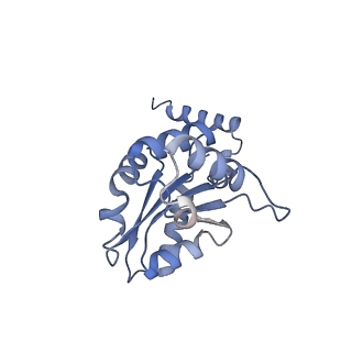 16184_8bqs_Ej_v1-0
Cryo-EM structure of the I-II-III2-IV2 respiratory supercomplex from Tetrahymena thermophila