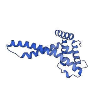 16184_8bqs_Em_v1-0
Cryo-EM structure of the I-II-III2-IV2 respiratory supercomplex from Tetrahymena thermophila