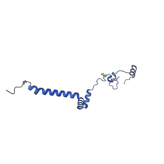 16184_8bqs_Eo_v1-0
Cryo-EM structure of the I-II-III2-IV2 respiratory supercomplex from Tetrahymena thermophila
