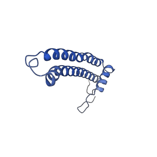 16184_8bqs_Eq_v1-0
Cryo-EM structure of the I-II-III2-IV2 respiratory supercomplex from Tetrahymena thermophila