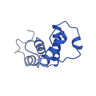 16184_8bqs_Er_v1-0
Cryo-EM structure of the I-II-III2-IV2 respiratory supercomplex from Tetrahymena thermophila