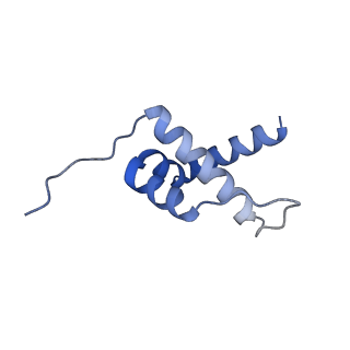 16184_8bqs_Ev_v1-0
Cryo-EM structure of the I-II-III2-IV2 respiratory supercomplex from Tetrahymena thermophila