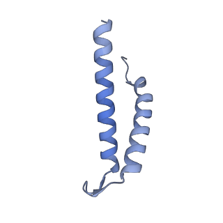 16184_8bqs_Ew_v1-0
Cryo-EM structure of the I-II-III2-IV2 respiratory supercomplex from Tetrahymena thermophila
