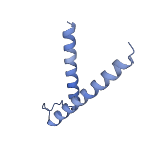 16184_8bqs_Ex_v1-0
Cryo-EM structure of the I-II-III2-IV2 respiratory supercomplex from Tetrahymena thermophila