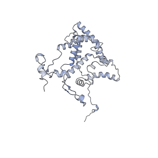 16184_8bqs_G_v1-0
Cryo-EM structure of the I-II-III2-IV2 respiratory supercomplex from Tetrahymena thermophila
