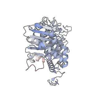 16184_8bqs_a_v1-0
Cryo-EM structure of the I-II-III2-IV2 respiratory supercomplex from Tetrahymena thermophila