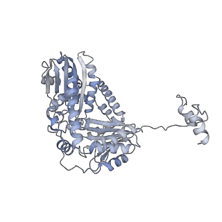 16184_8bqs_b_v1-0
Cryo-EM structure of the I-II-III2-IV2 respiratory supercomplex from Tetrahymena thermophila