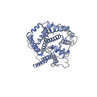 16184_8bqs_c_v1-0
Cryo-EM structure of the I-II-III2-IV2 respiratory supercomplex from Tetrahymena thermophila
