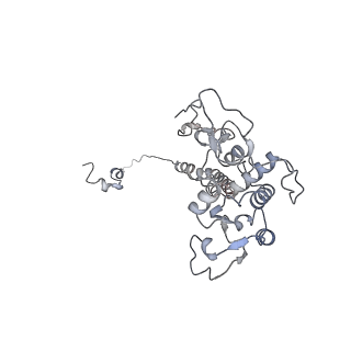 16184_8bqs_d_v1-0
Cryo-EM structure of the I-II-III2-IV2 respiratory supercomplex from Tetrahymena thermophila