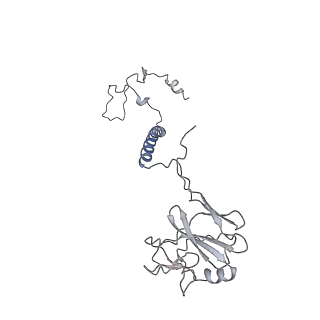 16184_8bqs_e_v1-0
Cryo-EM structure of the I-II-III2-IV2 respiratory supercomplex from Tetrahymena thermophila